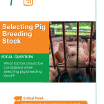 Selecting Pig Breeding Stock pg 1