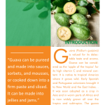 Growing guavas for profit pg1