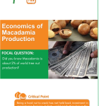 Economics of Macadamia Production