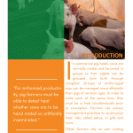 Estrous synchronization and Heat Detection in pigs