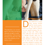 Factors to Consider While Purchasing Dairy Cattle pg 1