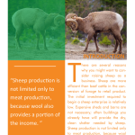 Feedlotting Lambs as a Business pg 1