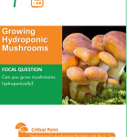 Growing Hydroponic Mushrooms