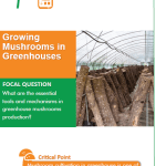 Growing Mushrooms in Greenhouses
