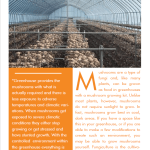 Growing Mushrooms in Greenhouses pg 1