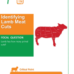 Identifying Lamb Meat Cuts