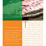 Identifying Pork Meat Cuts pg 1