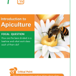 Introduction to Apiculture