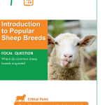 Introduction to Popular Sheep Breeds pg 1