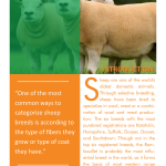 Introduction to Popular Sheep Breeds pg 1