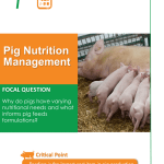 Pig Nutrition Management