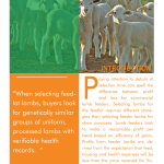 Selecting and Raising Feeder Lambs pg 1