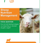 Sheep Nutrition Management
