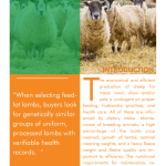 Sheep Nutrition Management pg 1