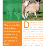 Sheep Reproduction and Breeding Systems pg 1