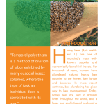 Understanding Bee Biology pg 1